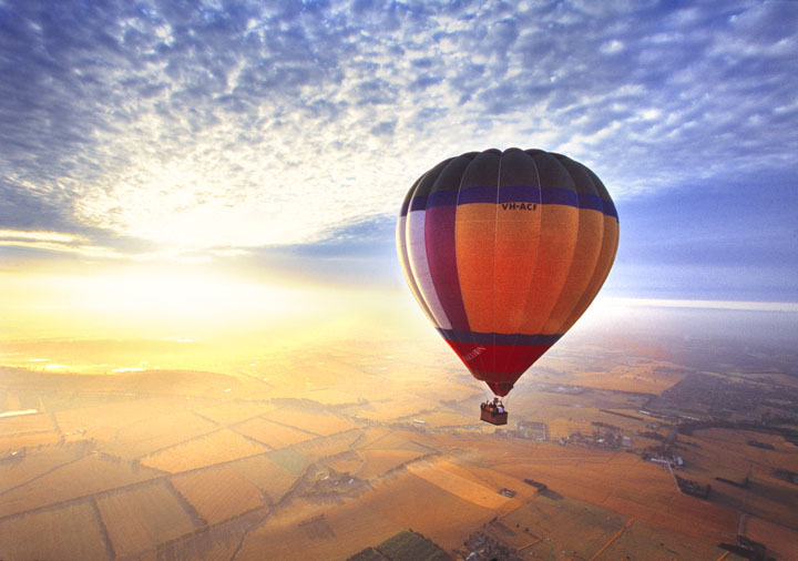 Yarra Valley Food, Wine & Balloon Daytour